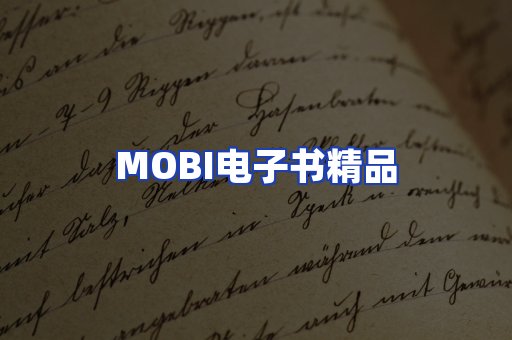 外文电子书产品